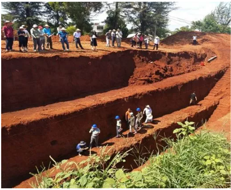 shallow seismic exploration