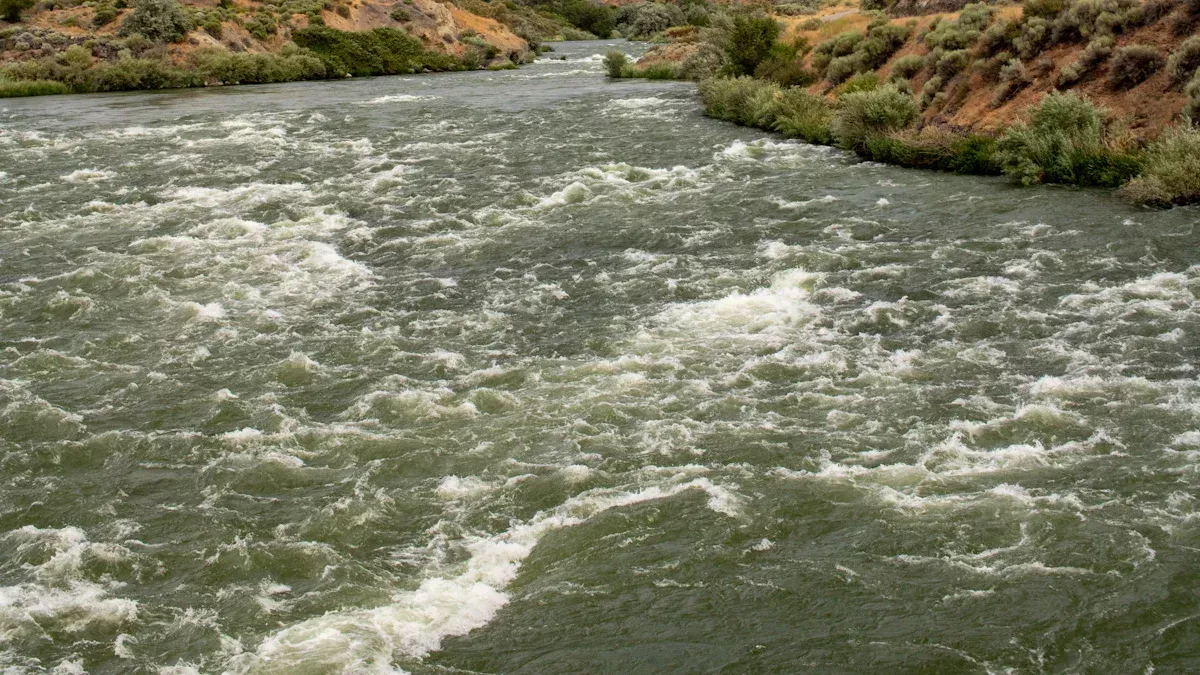 How to Read the Hydrograph